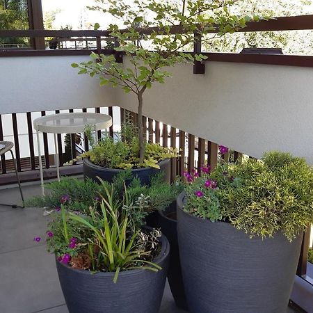4Four Apartment, Villa Moderno, Taras, Parking Podziemny Stary Toruń Exteriör bild